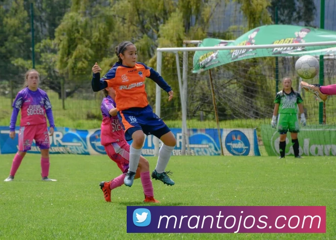 奖项证书